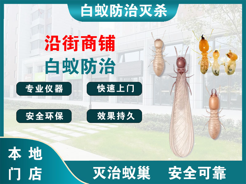 常山沿街商铺白蚁防治
