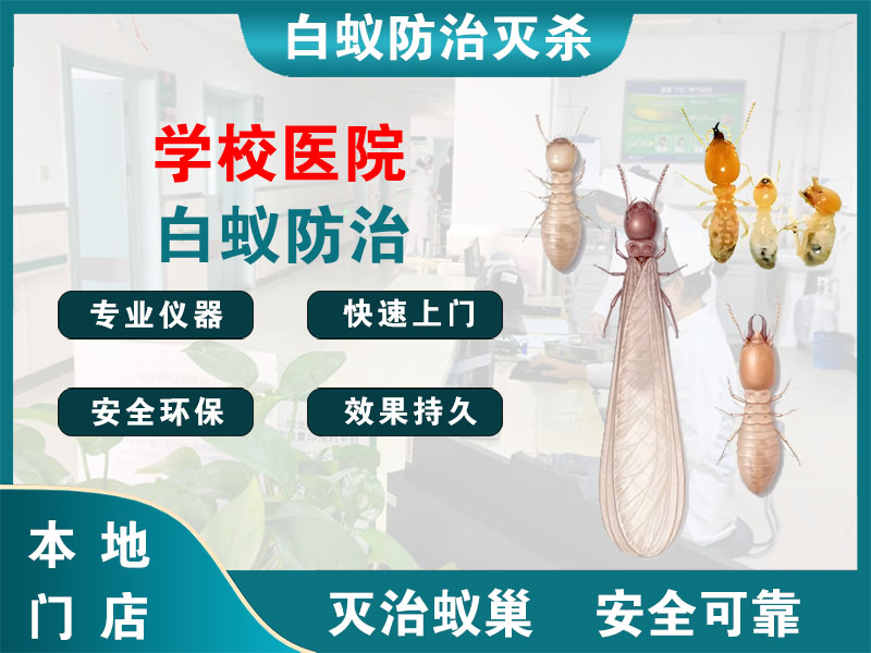 常山学校医院白蚁防治