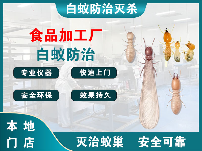 常山食品加工厂白蚁防治