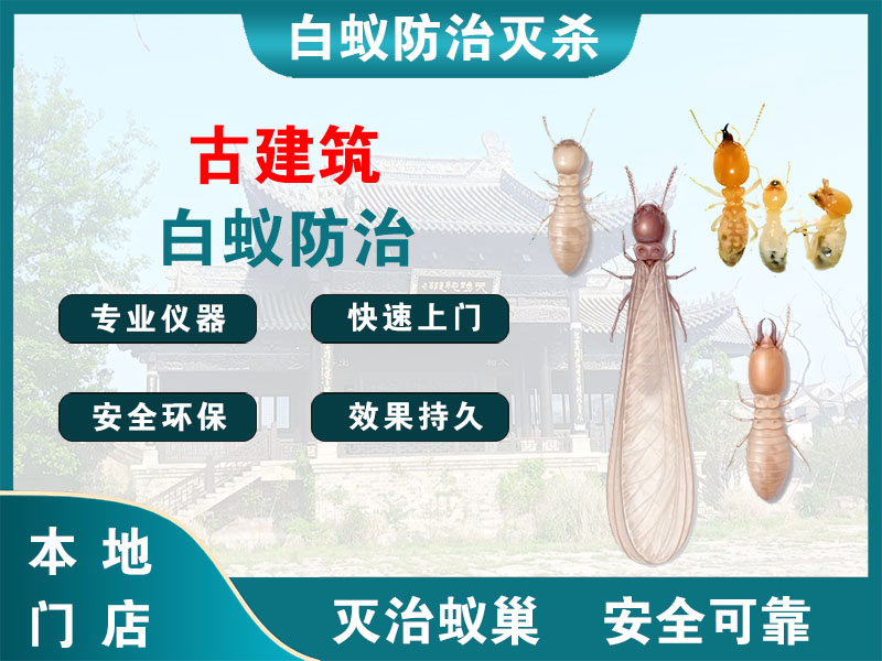 常山古建筑白蚁防治